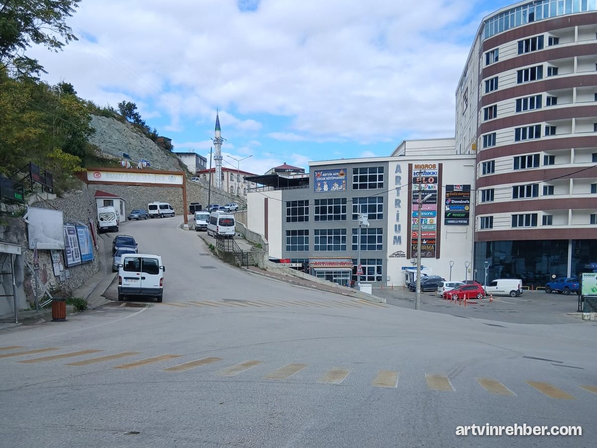 Artvin Artrium AVM