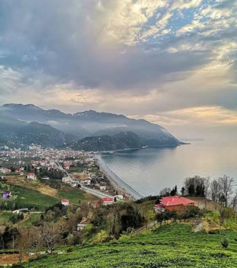 Kemalpaşa