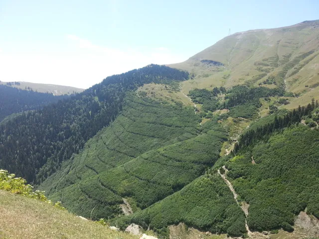 Berta Ortaköy Duganala yaylası Artvin öğlen manzarası
