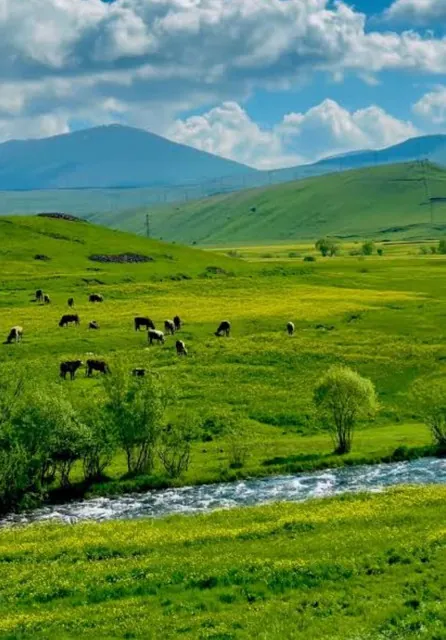 Çoruh Nehri Artvin vadisi — görkemli nehir