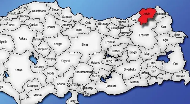 Artvin Coğrafi Harita
