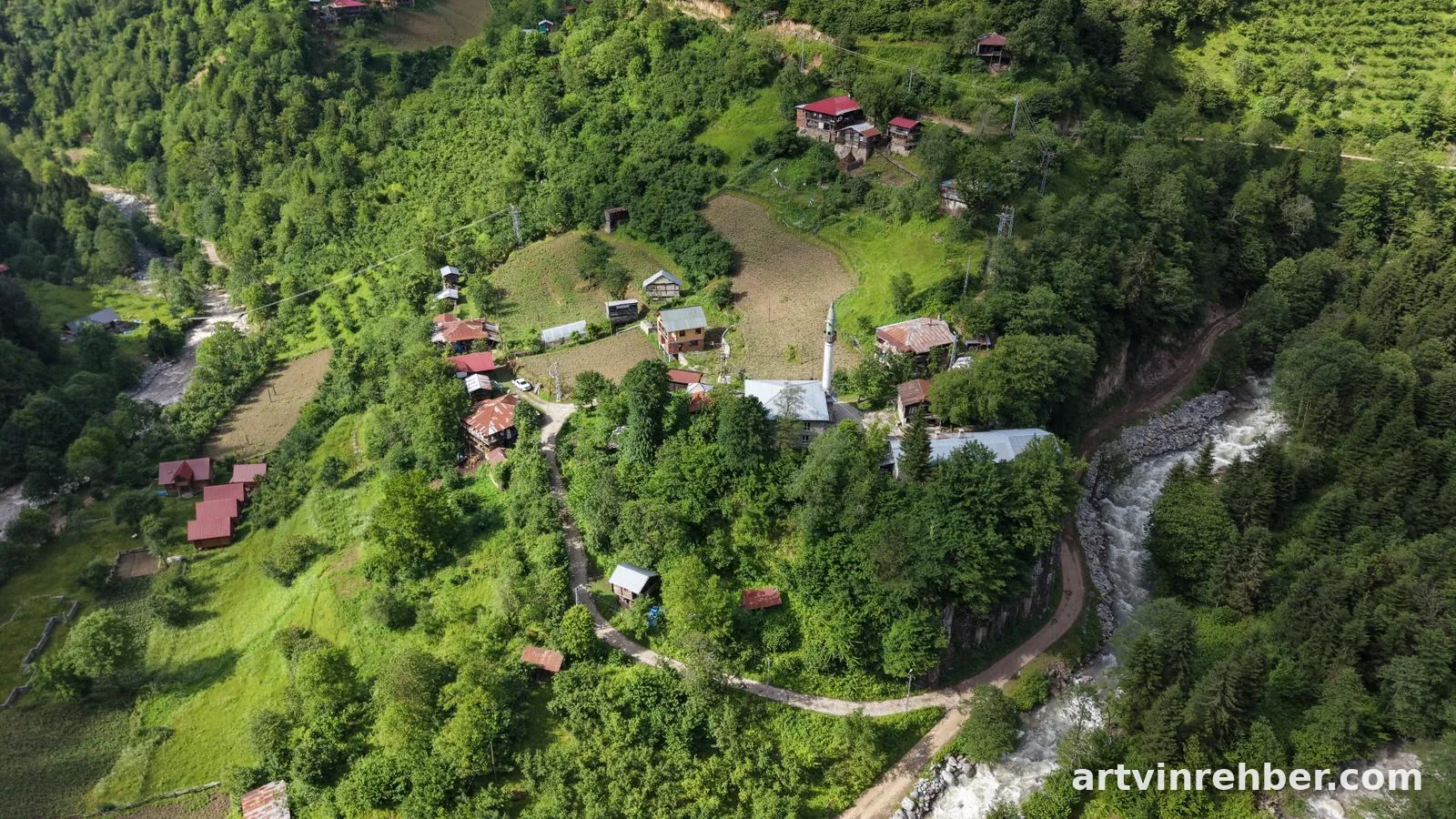 Macahel Camili Havzası UNESCO biyosfer rezervi Artvin