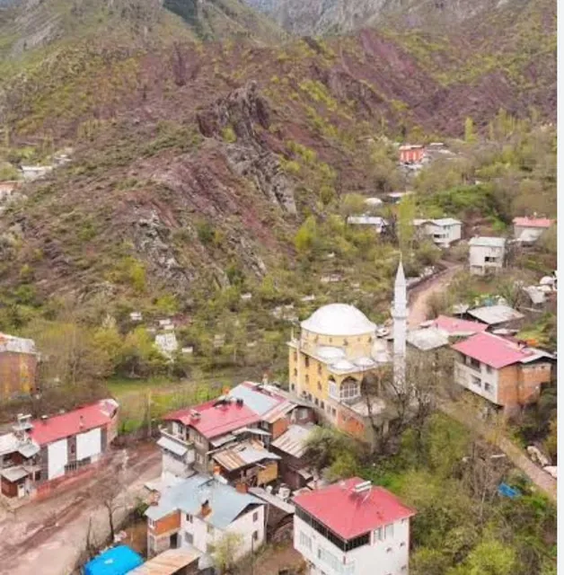 Aşağımaden köyü, Artvin Merkez